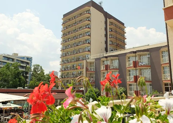 Mpm Orel 써니비치